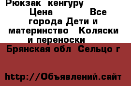 Рюкзак -кенгуру Baby Bjorn  › Цена ­ 2 000 - Все города Дети и материнство » Коляски и переноски   . Брянская обл.,Сельцо г.